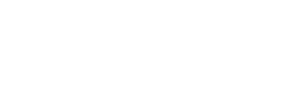 Wild Banana Design Studio